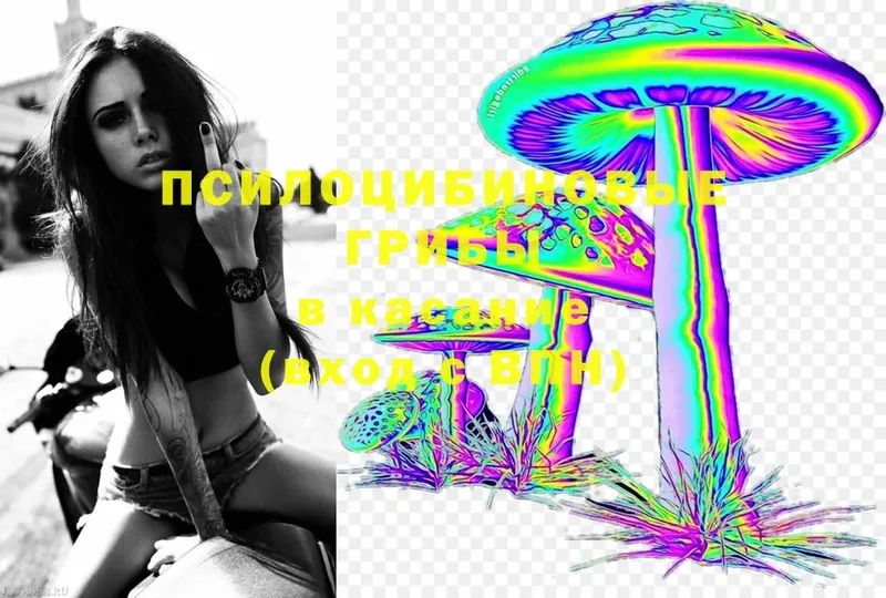 Галлюциногенные грибы Magic Shrooms  наркота  Красноуфимск 